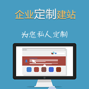 精品定制企业网站建设