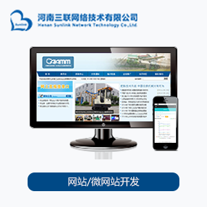 网站/微网站开发