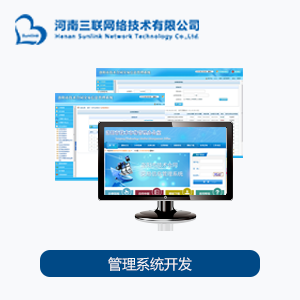 管理系统/企业网站开发