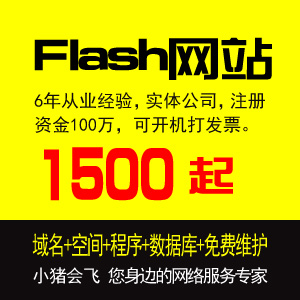 Flash网站开发