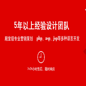 专业建站五年 28人技术服务团队