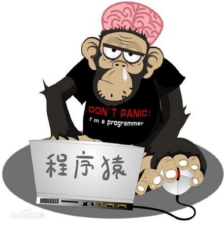 综合性网站开发