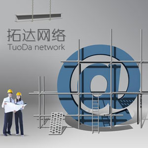 专业的网站建设技术水平