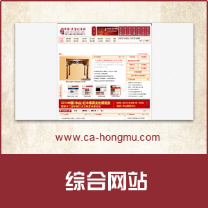 综合性网站