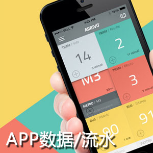 APP推广数据流水开发销售额