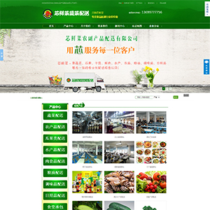 营销型网站建设开发 宣传展示型网站开发 企业网站开发 电商网站开发