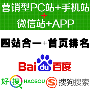 网站seo优化 百度首页排名 百度快照排名优化 360排名推广