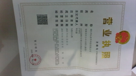 网站建设  系统开发