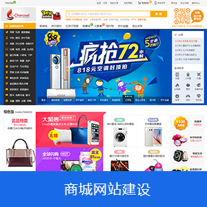电商网站开发