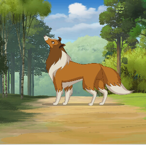 国外加工片制作