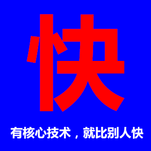 十年专注管理软件定制开发——快！
