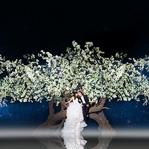 照片修复与合成