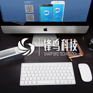 软件项目和网络搭建