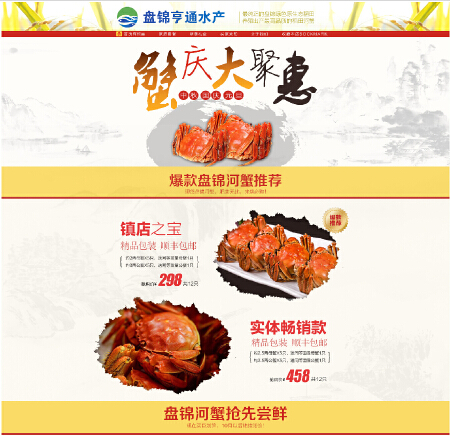 整站网页美工、网站广告等设计