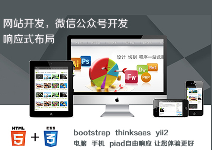 网站开发，网站改版，二次开发