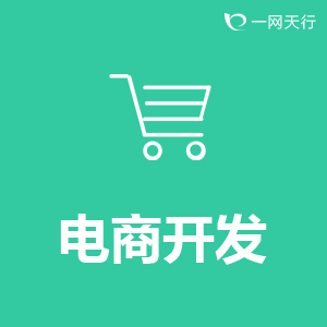 电子商务平台开发