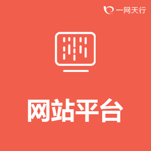 平台网站定制开发