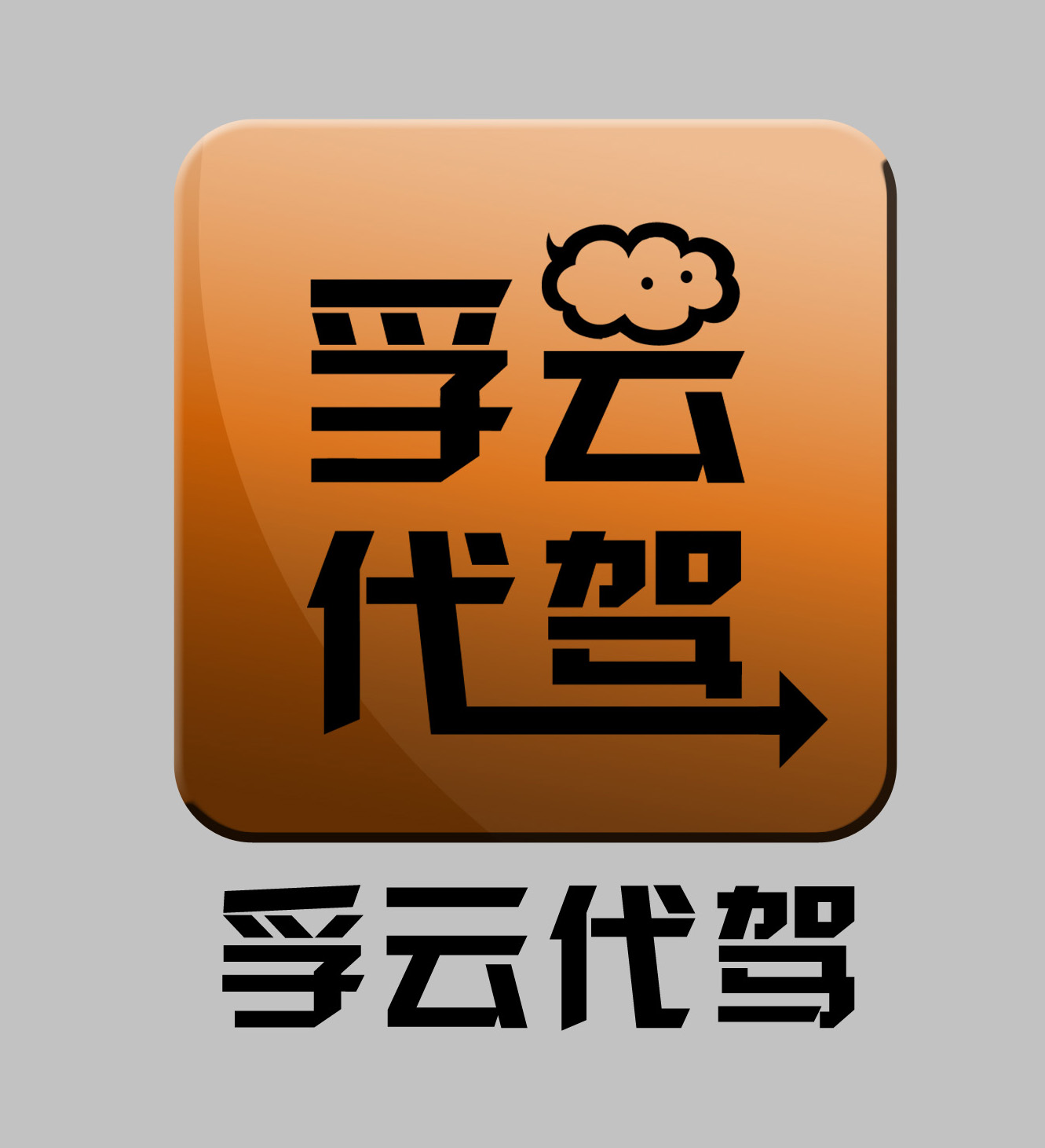 某代驾公司logo