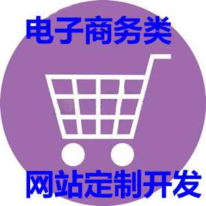 电子商类网站定制开发