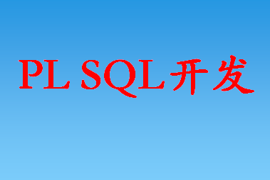 专业PL SQL开发