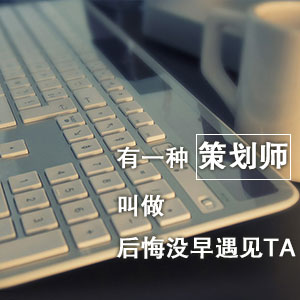 专业营销策划 文案写作