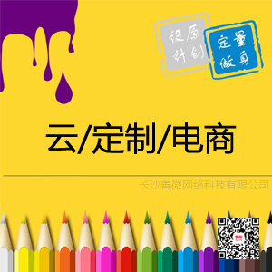电子商务网站建设[云·定制·电商]