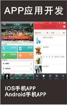 APP应用开发