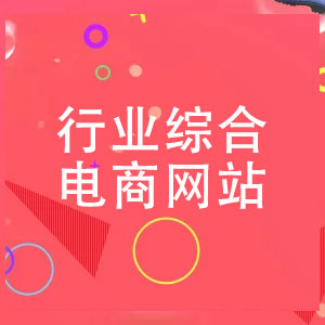 综合电商行业及网站特色服务