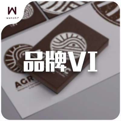 基础VI设计套餐A/logo设计/企业VI设计/公司vi设计