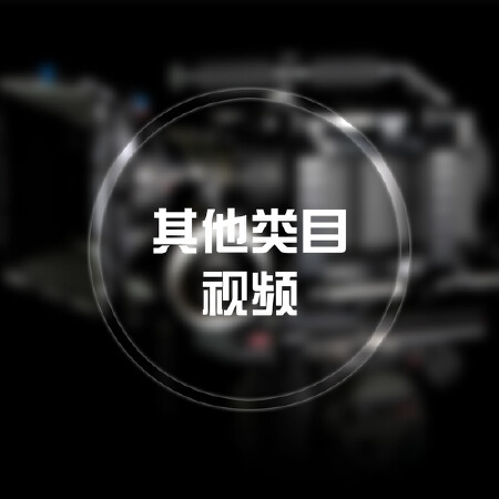 其他类目