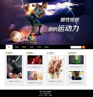 企业官方展示型网站 三网合一（企业PC端网站+手机移动端网站+微信官网）