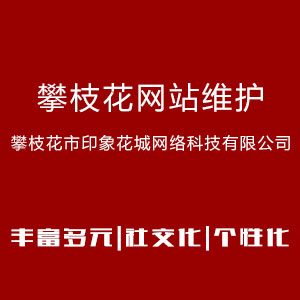 攀枝花网站维护