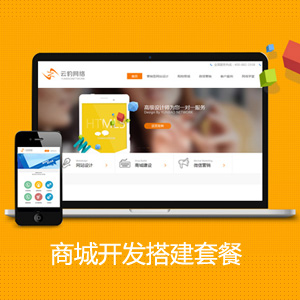商城标准定制型套餐