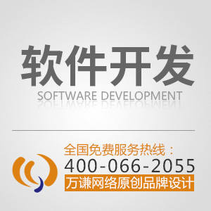 软件程序开发