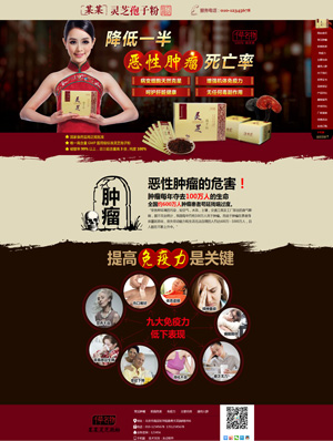 营销型网站建设