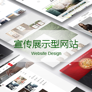 宣传展示型网站