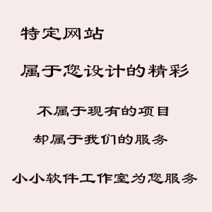 特定网站开发