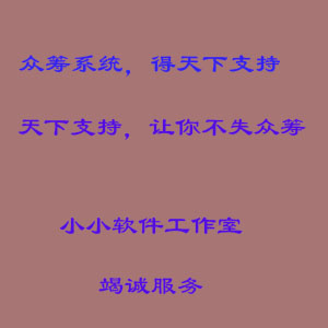 众筹系统网站开发