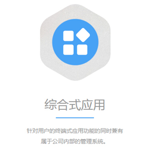 综合式应用