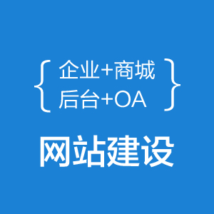 网站建设 开发 企业网站 首页 后台 OA 定制开发