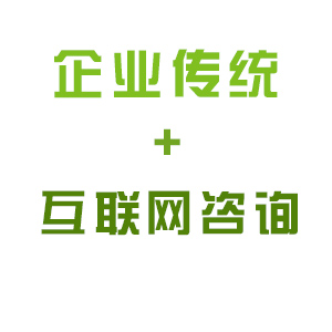 企业传统＋互联网咨询