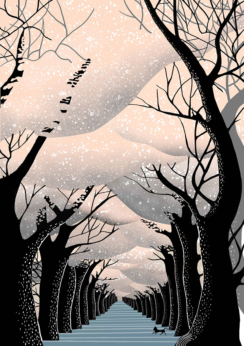 ［樱］手绘插画