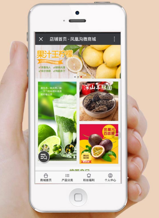 凤凰沟移动微分销商城