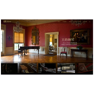 功能型网站开发