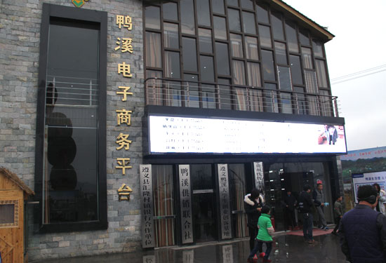 电子商务平台开发市场需求分析