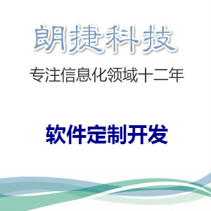 软件定制开发