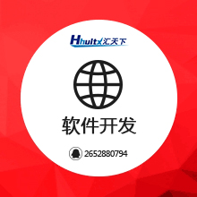 软件开发