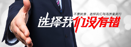 网站/应用系统/软件定制开发服务