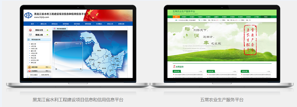 网站、软件定制开发