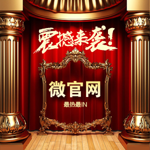 微网站
